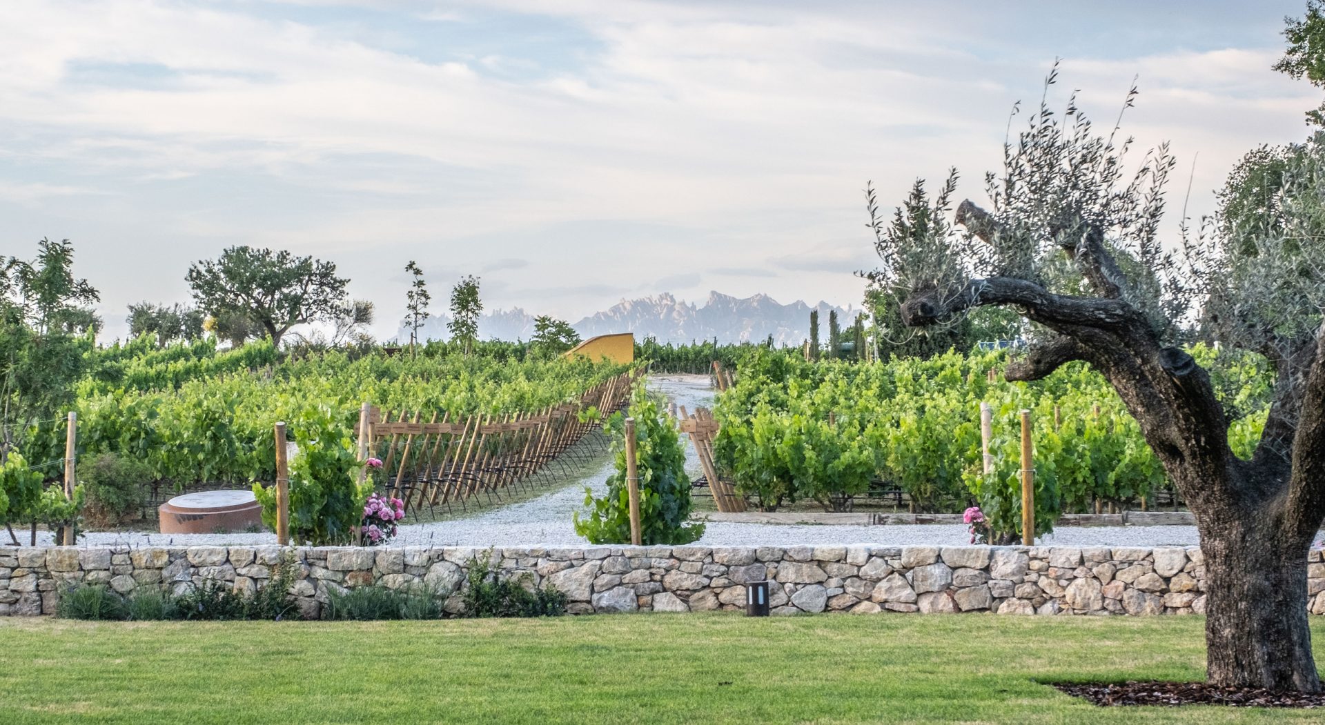 El Celleret – Crearte Collections -06