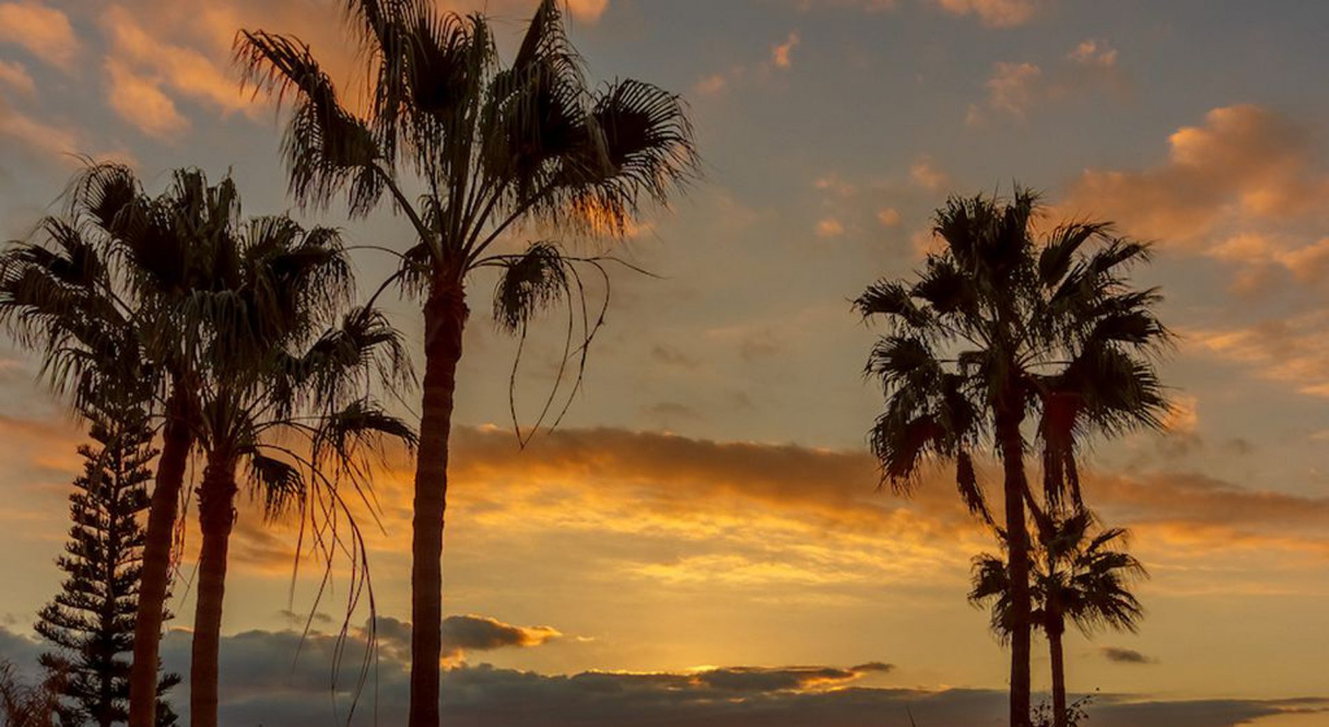 Santa Maria – Crearte Collections -06