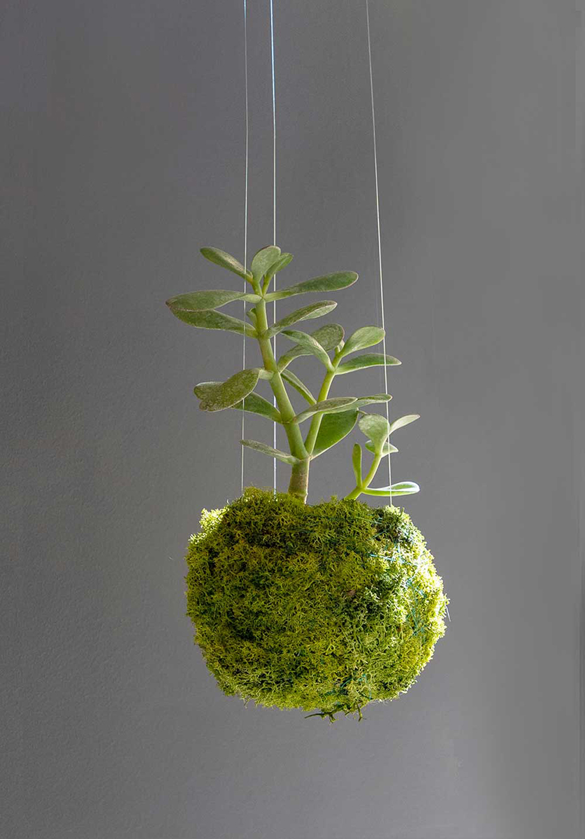 Fera Restaurant – Crearte Collections 03