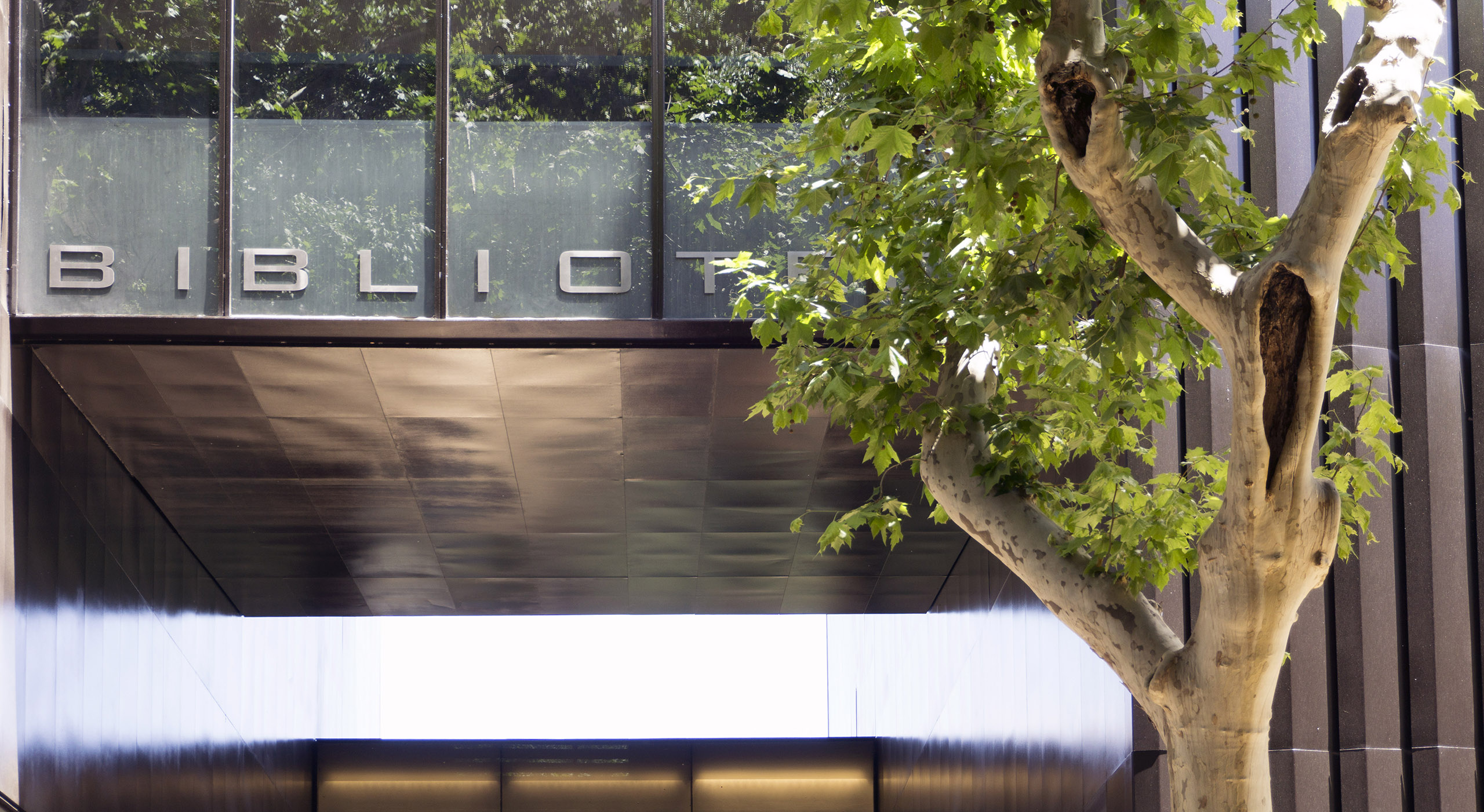 Biblioteca Joan Oliver – Crearte 06